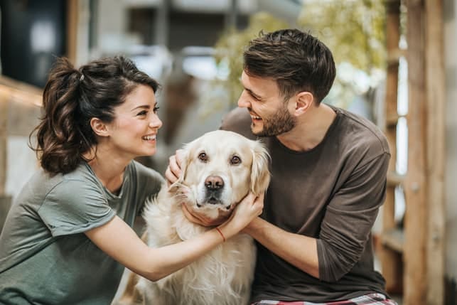 cheerful couple embracing the dog