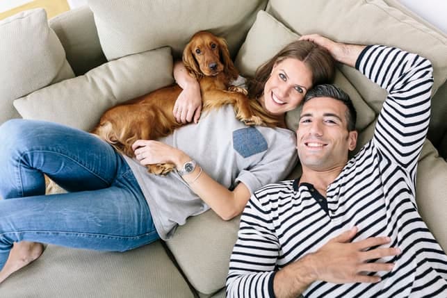 a couple chilling on a bed with their dog
